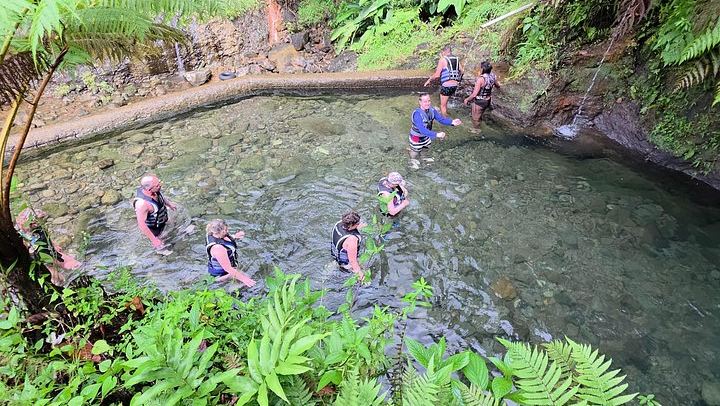 Ti Tou Gorge Swim from the Roseau Cruise Port with Majestic Taxi and Tours (4/12)