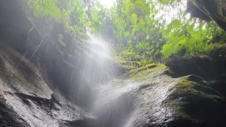 Ti Tou Gorge Swim from the Roseau Cruise Port with Majestic Taxi and Tours (1/12)