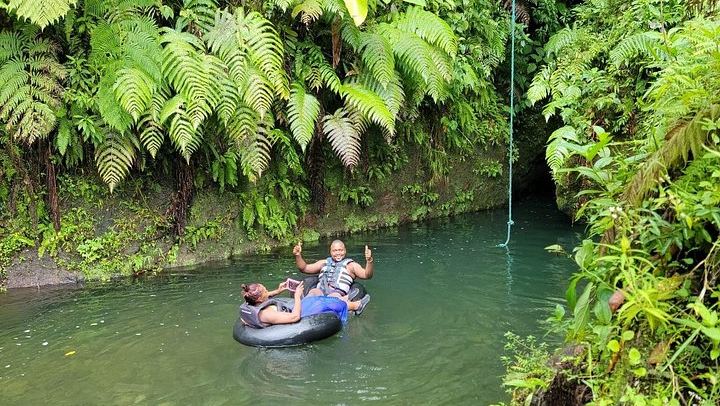 Ti Tou Gorge Swim from the Roseau Cruise Port with Majestic Taxi and Tours (3/12)