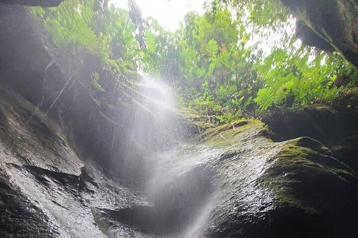 Ti Tou Gorge Swim from the Roseau Cruise Port with Majestic Taxi and Tours (1/12)