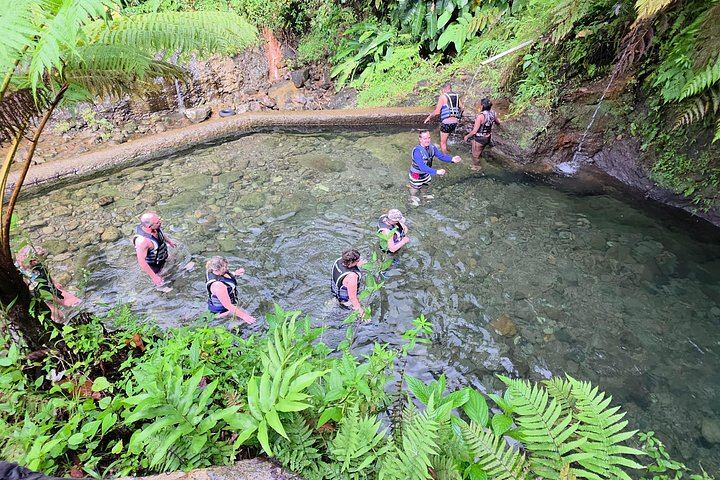 Ti Tou Gorge Swim from the Roseau Cruise Port with Majestic Taxi and Tours (4/12)