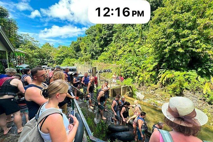 Ti Tou Gorge Swim from the Roseau Cruise Port with Majestic Taxi and Tours (8/12)