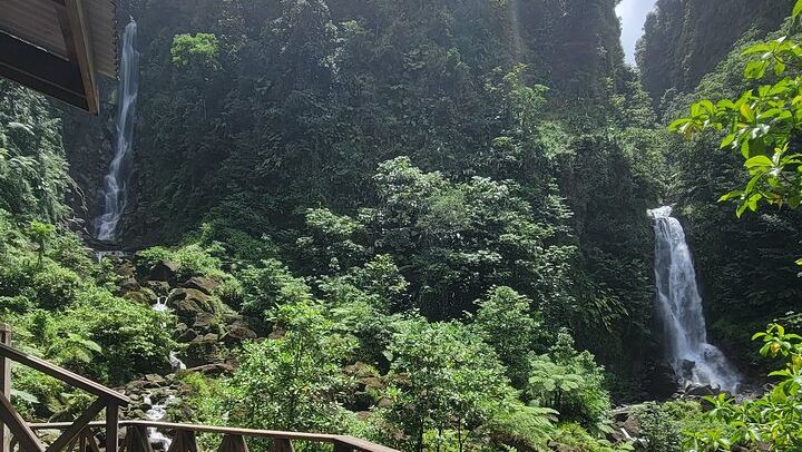 Majestic Taxi and Tours from Roseau: Trafalgar Falls, Sulphur Springs, Ti Tou Gorge (4/12)