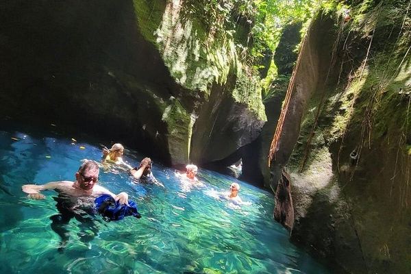 Majestic Taxi and Tours from Roseau: Trafalgar Falls, Sulphur Springs, Ti Tou Gorge