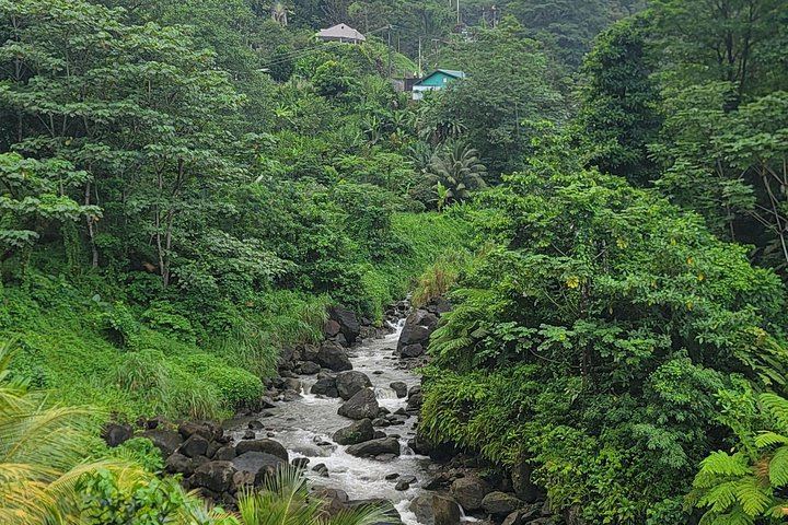 Majestic Taxi and Tours from Roseau: Trafalgar Falls, Sulphur Springs, Ti Tou Gorge (8/12)