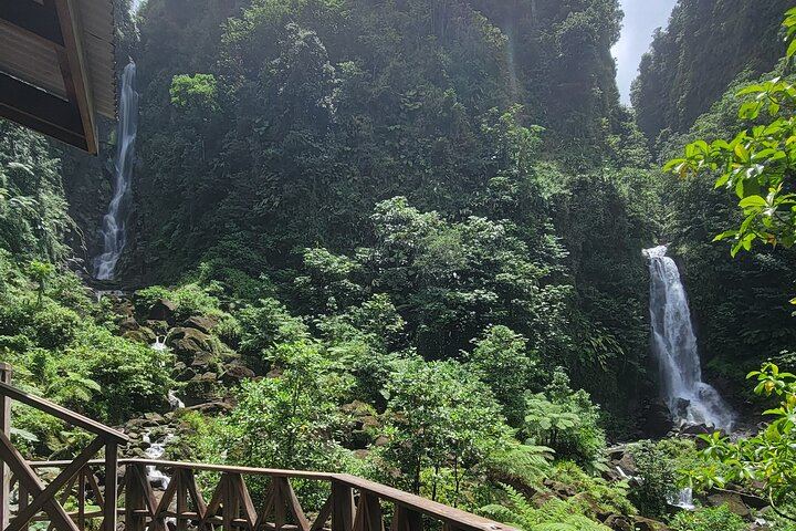Majestic Taxi and Tours from Roseau: Trafalgar Falls, Sulphur Springs, Ti Tou Gorge (4/12)