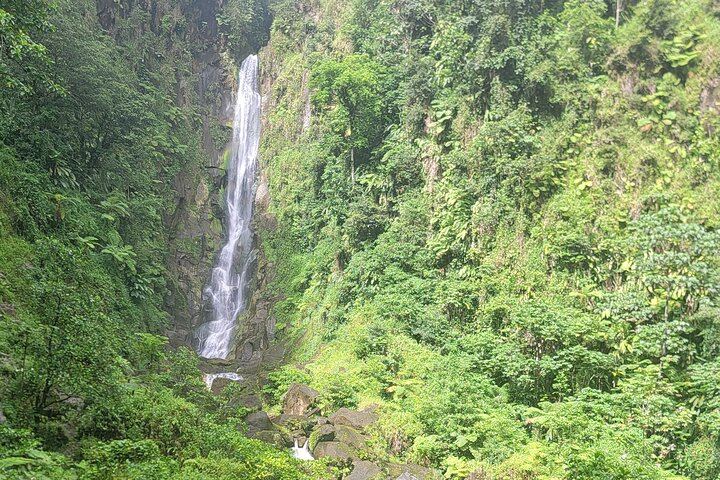 Majestic Taxi and Tours from Roseau: Trafalgar Falls, Sulphur Springs, Ti Tou Gorge (7/12)