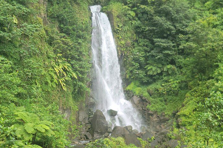 Majestic Taxi and Tours from Roseau: Trafalgar Falls, Sulphur Springs, Ti Tou Gorge (6/12)