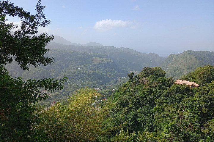 Private Dominica Waterfalls Tour with Autop Tours: Freshwater Lake to Morne Bruce (3/12)