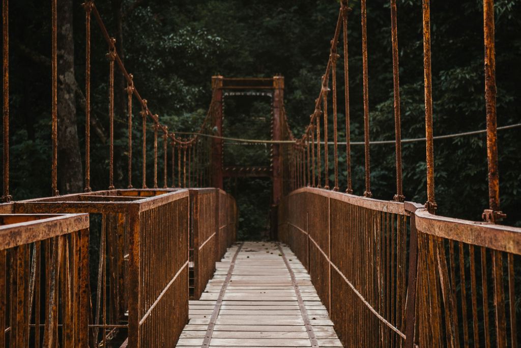 A narrow rusted suspension footbridge with wooden planks leading into a dark forest