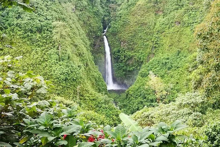 Baldi Hot Springs, Arenal Volcano and Fortuna Waterfall Day Trip from San Jose (4/9)