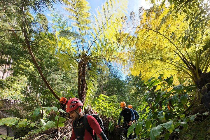 Level 2 Canyoning at Salto do Cabrito with Hot Springs, Sao Miguel Azores (9/11)