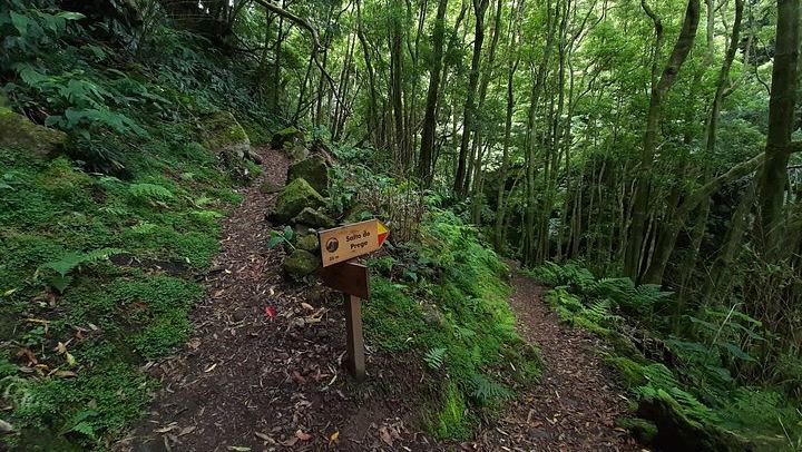 Sanguinho Hike to Salto do Prego Waterfall, with Furnas Hot Springs Stop (4/11)