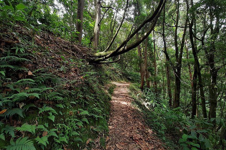Sanguinho Hike to Salto do Prego Waterfall, with Furnas Hot Springs Stop (9/11)
