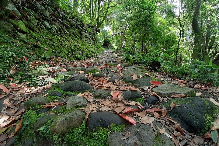 Sanguinho Hike to Salto do Prego Waterfall, with Furnas Hot Springs Stop (6/11)