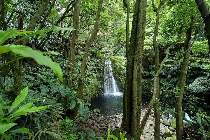 Sanguinho Hike to Salto do Prego Waterfall, with Furnas Hot Springs Stop (8/11)