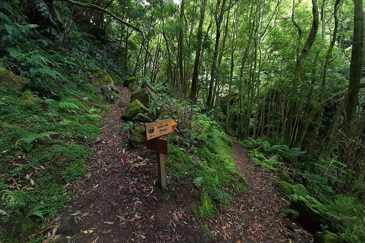 Sanguinho Hike to Salto do Prego Waterfall, with Furnas Hot Springs Stop (4/11)