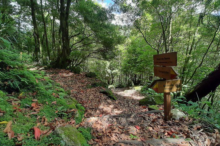 Sanguinho Hike to Salto do Prego Waterfall, with Furnas Hot Springs Stop (5/11)