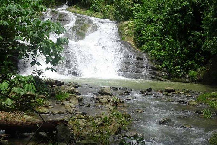 Los Campesinos Reserve Waterfalls and 127-Meter Hanging Bridge near Manuel Antonio (5/12)