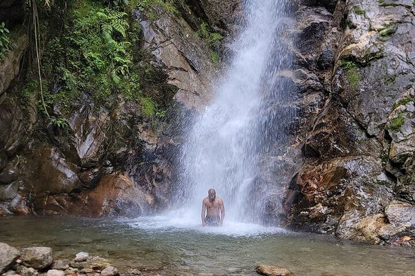 Chorro de las Campanas Half-Day Hike and Waterfall Dip, Envigado Reserve