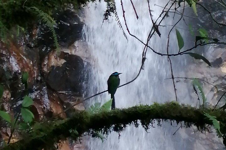 Chorro de las Campanas Half-Day Hike and Waterfall Dip, Envigado Reserve (8/12)