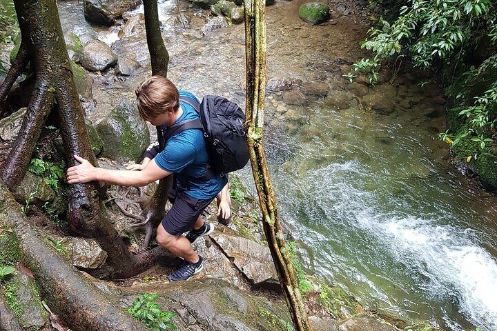 Chorro de las Campanas Half-Day Hike and Waterfall Dip, Envigado Reserve (2/12)