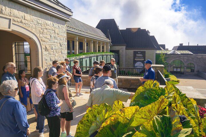 Walk Niagara Tours Two-Hour Walk: Hornblower Boat Cruise and Over 20 Landmarks (9/12)