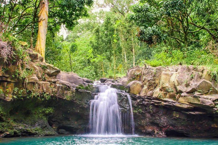 Small Group Hana Highway Waterfall Hike with Lunch from Kahului Park and Ride (8/11)