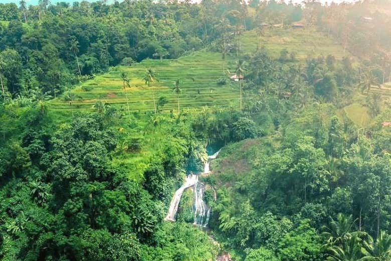 Sekumpul Private Hike with Fiji Option, Ulun Danu Bratan and Taman Ayun Temples (3/7)