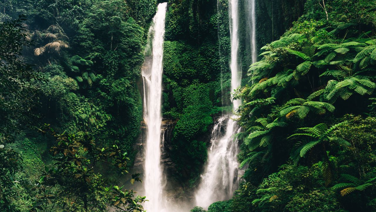 Two tall waterfalls falling through dense green forest at Sekumpul in North Bali