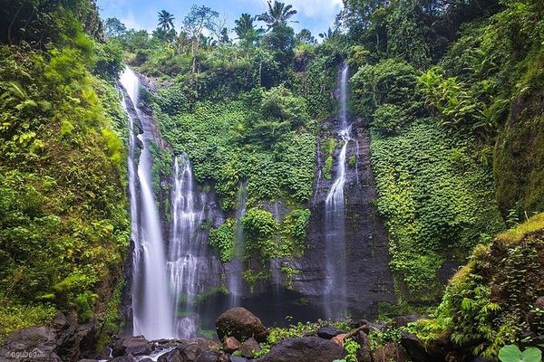 Private Sekumpul Waterfall Trek through Rice Fields with Coffee Plantation and Ulun Danu