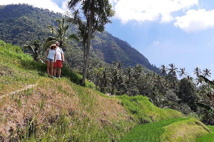 Private Sekumpul Waterfall Trek through Rice Fields with Coffee Plantation and Ulun Danu (5/8)