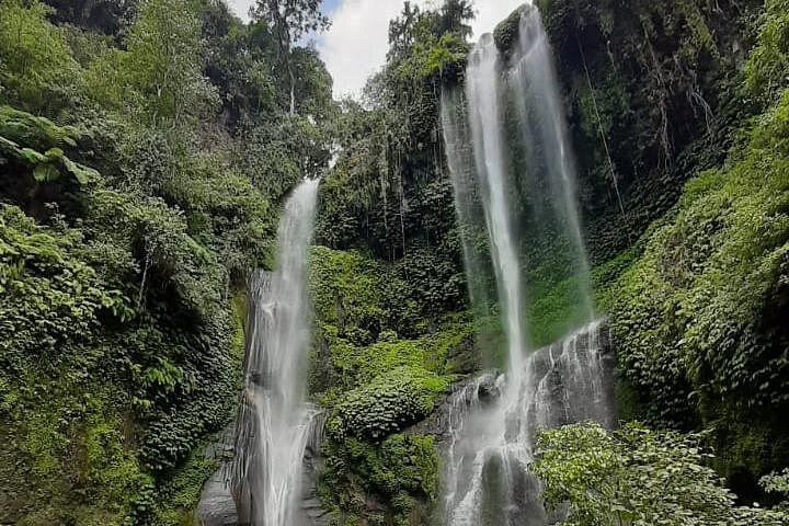 Private Sekumpul Waterfall Trek through Rice Fields with Coffee Plantation and Ulun Danu (6/8)
