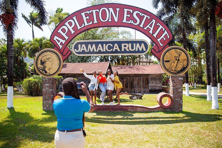 Appleton Estate Rum, Black River Safari and YS Falls from Montego Bay or Negril (11/12)