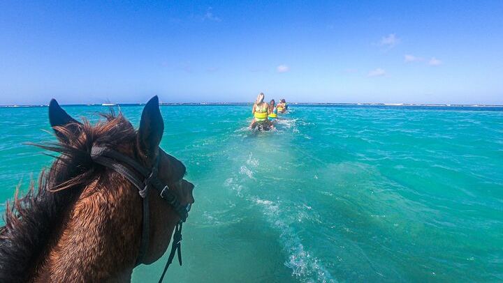 Dunn's River Falls Zipline, Seville Horseback Sea Swim and Falls Climb (1/9)