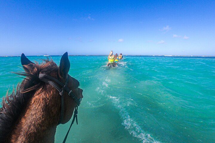 Dunn's River Falls Zipline, Seville Horseback Sea Swim and Falls Climb (1/9)