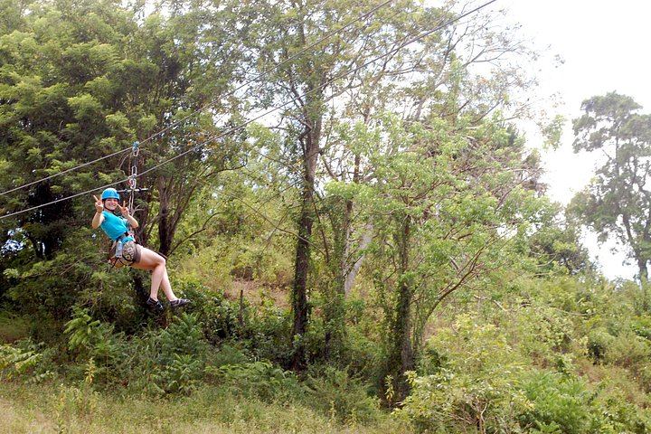 Damajagua Waterfalls and 3 Zip Lines at Country World Adventure Park with Dominican Lunch (4/5)