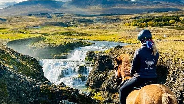 30-Minute Icelandic Horse Ride to Reykjafoss Waterfall from Hestasport in Varmahlid (1/5)