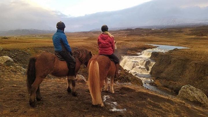 30-Minute Icelandic Horse Ride to Reykjafoss Waterfall from Hestasport in Varmahlid (4/5)