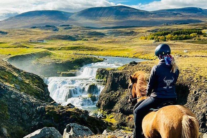 30-Minute Icelandic Horse Ride to Reykjafoss Waterfall from Hestasport in Varmahlid (1/5)