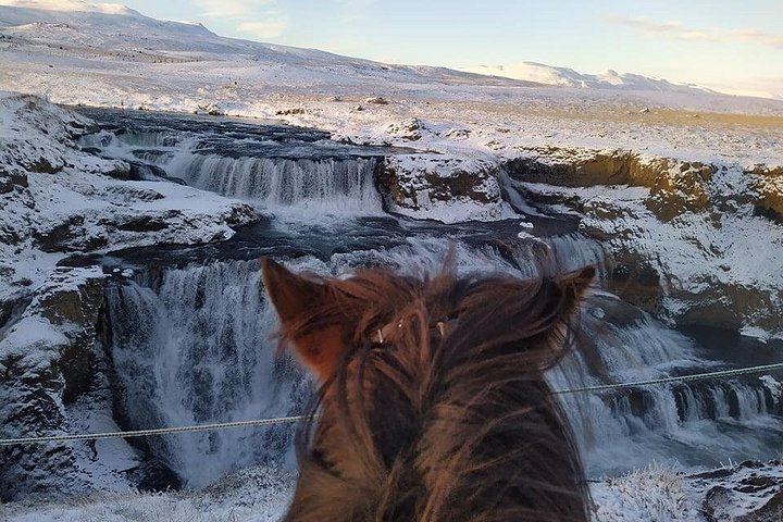 30-Minute Icelandic Horse Ride to Reykjafoss Waterfall from Hestasport in Varmahlid (5/5)
