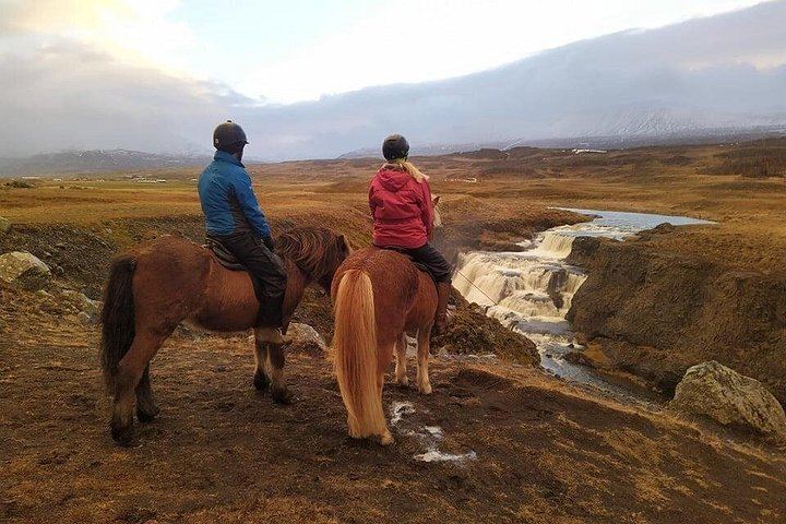 30-Minute Icelandic Horse Ride to Reykjafoss Waterfall from Hestasport in Varmahlid (4/5)