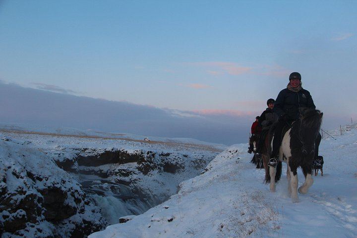 30-Minute Icelandic Horse Ride to Reykjafoss Waterfall from Hestasport in Varmahlid (3/5)