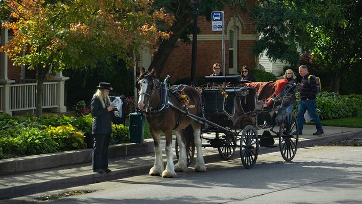 Niagara Falls and Niagara-on-the-Lake Guided Day Tour from Toronto with Boat Ride (2/12)