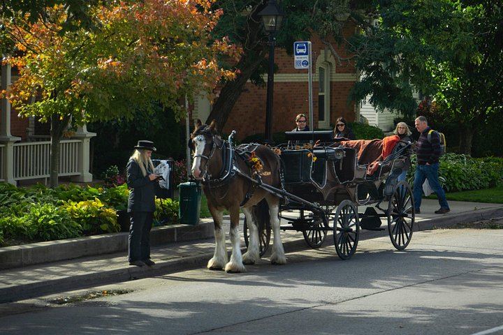 Niagara Falls and Niagara-on-the-Lake Guided Day Tour from Toronto with Boat Ride (2/12)