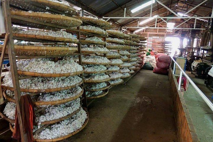 Dalat Countryside and Three Waterfalls Day: Flower Village, Silk Factory, Cricket Farm (1/9)