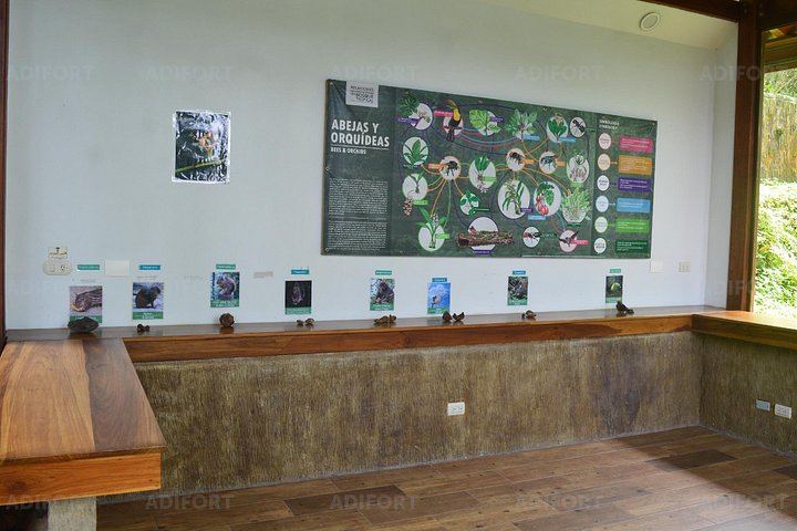 La Fortuna Waterfall Skip-the-Line Admission Ticket with River Trail and Viewpoint Access (11/12)