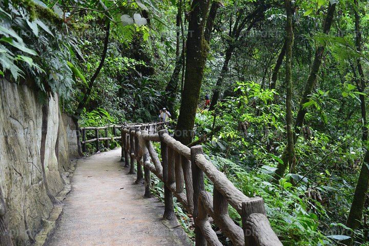 La Fortuna Waterfall Skip-the-Line Admission Ticket with River Trail and Viewpoint Access (9/12)
