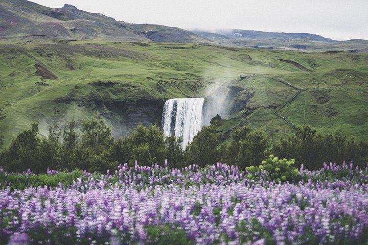 Hidden Iceland Private South Coast Tour with Lava Show and Solheimajokull Glacier Walk (7/12)