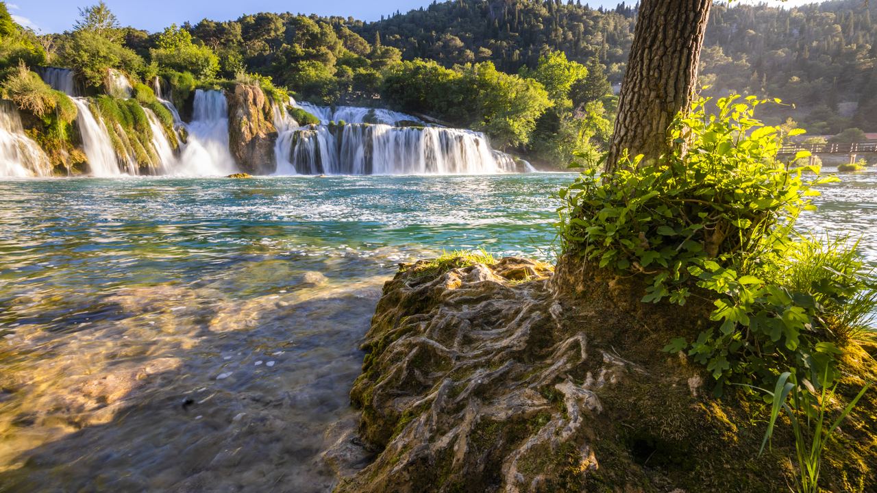 Skradinski buk falling in several streams into a turquoise pool, framed by a tree on the bank, Krka National Park, Croatia